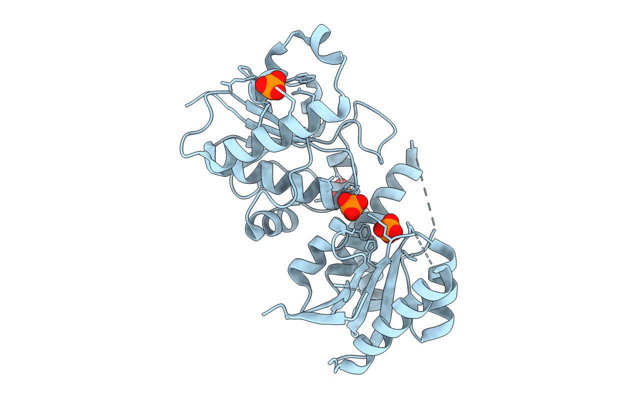 2HLH image