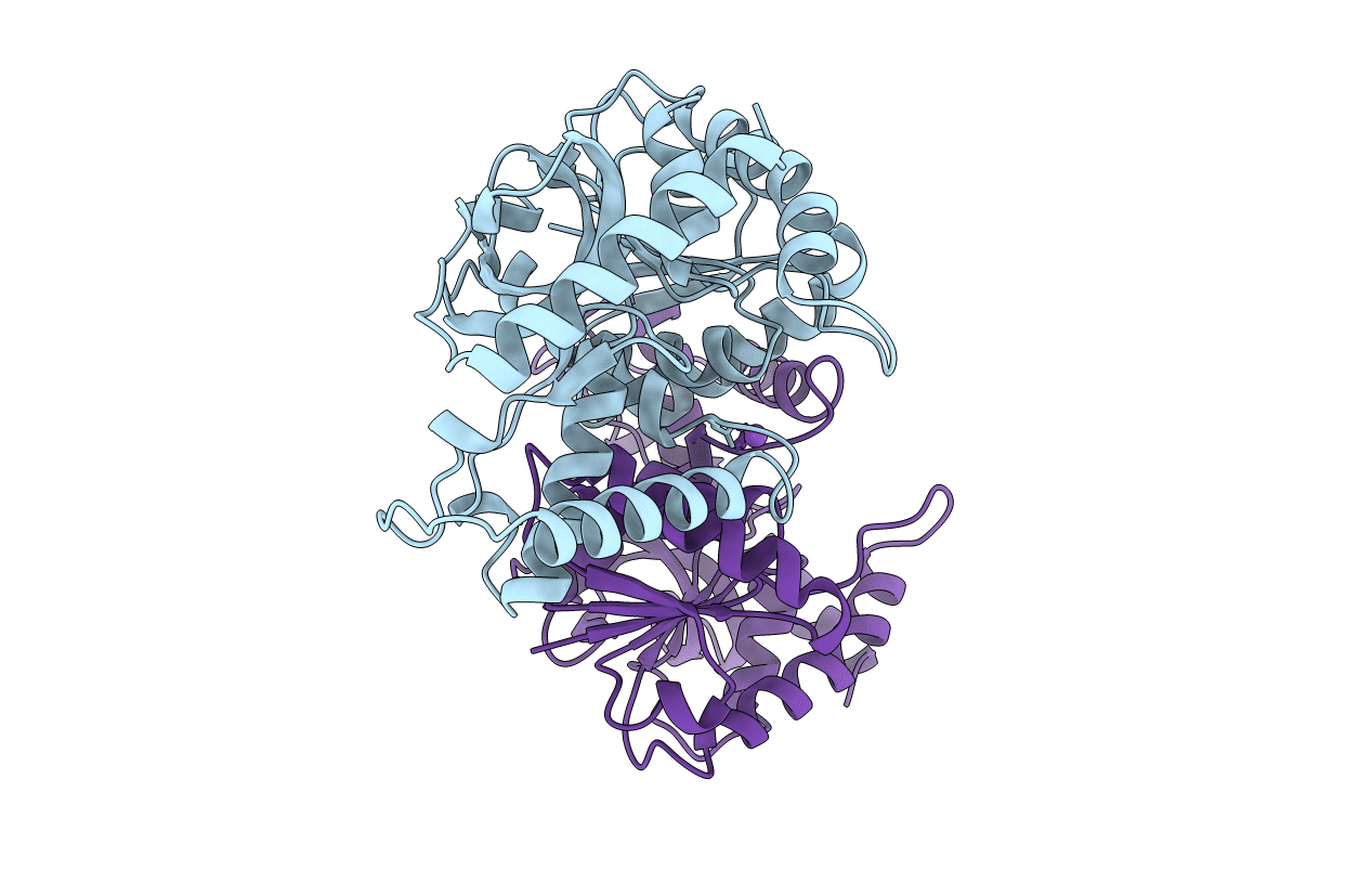 2HLP image