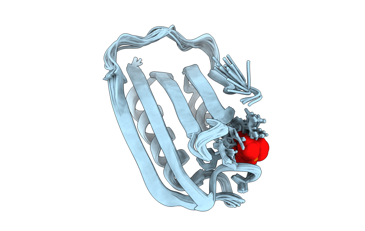 2HLT image