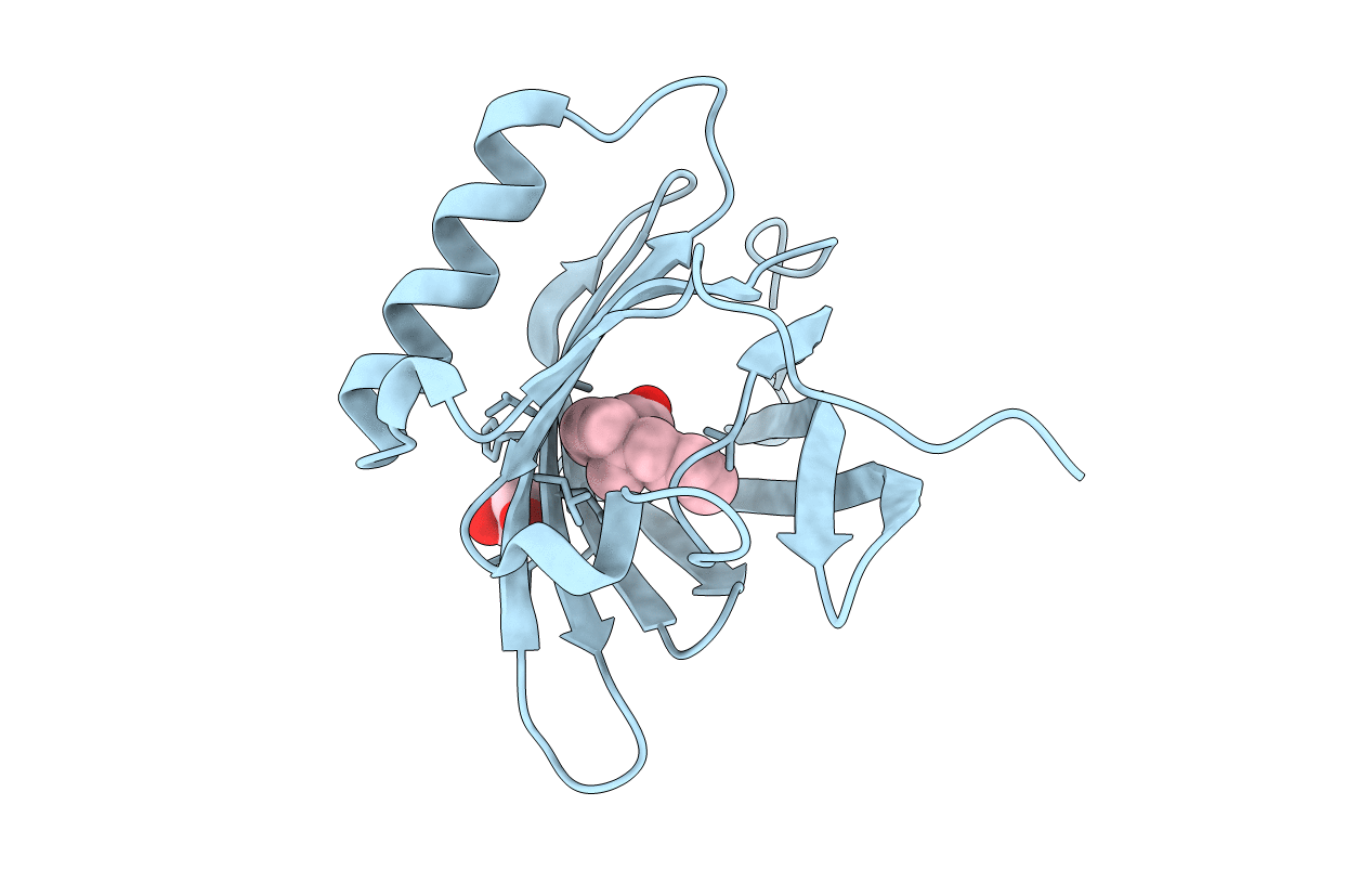 2HLV image