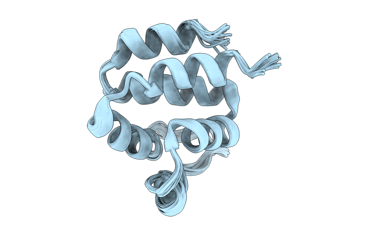 2HM2 image