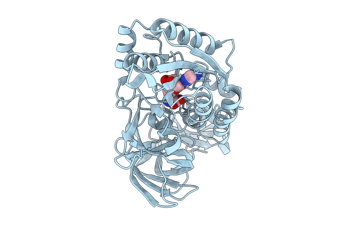 2HMA image