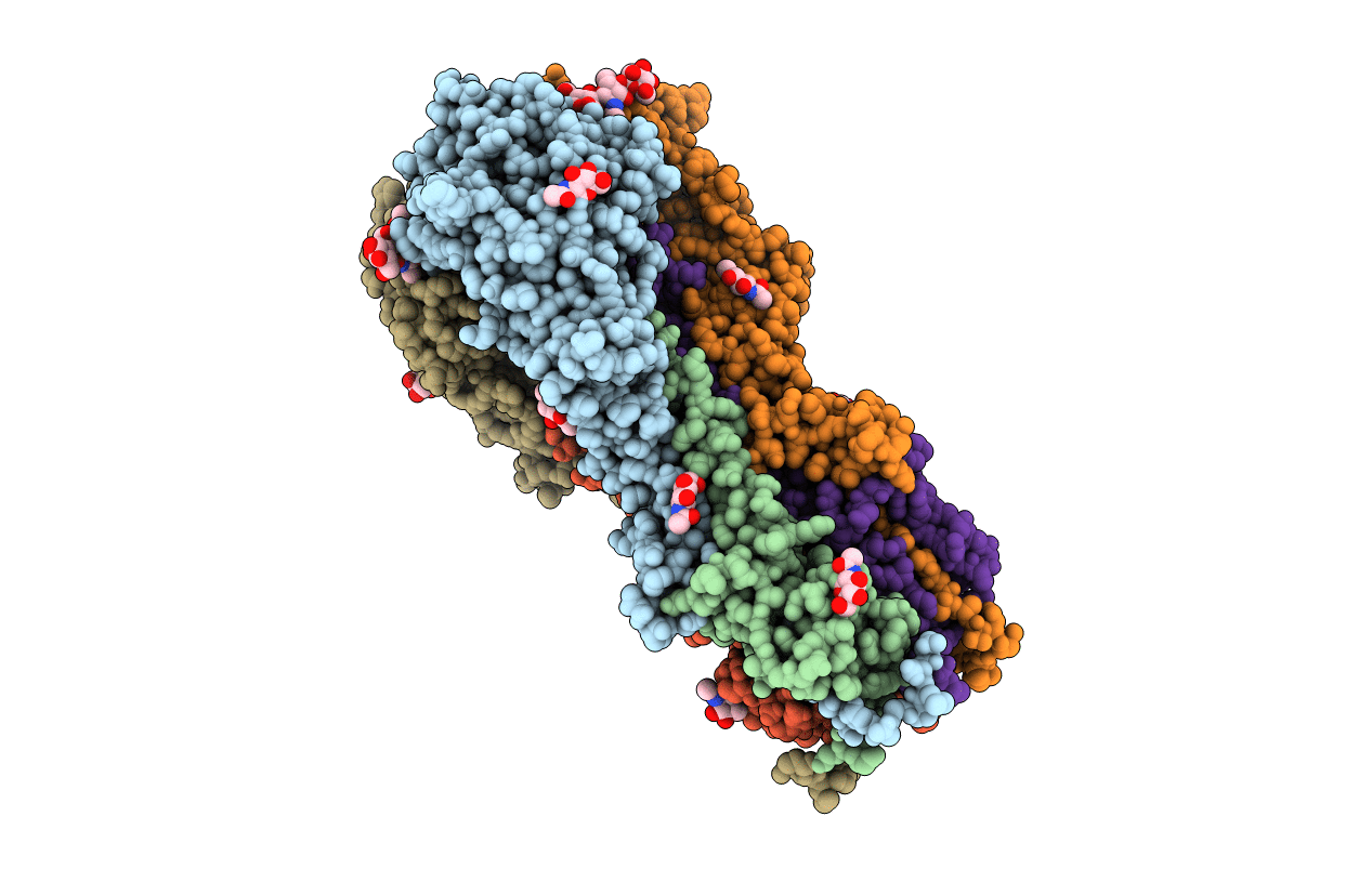2HMG image