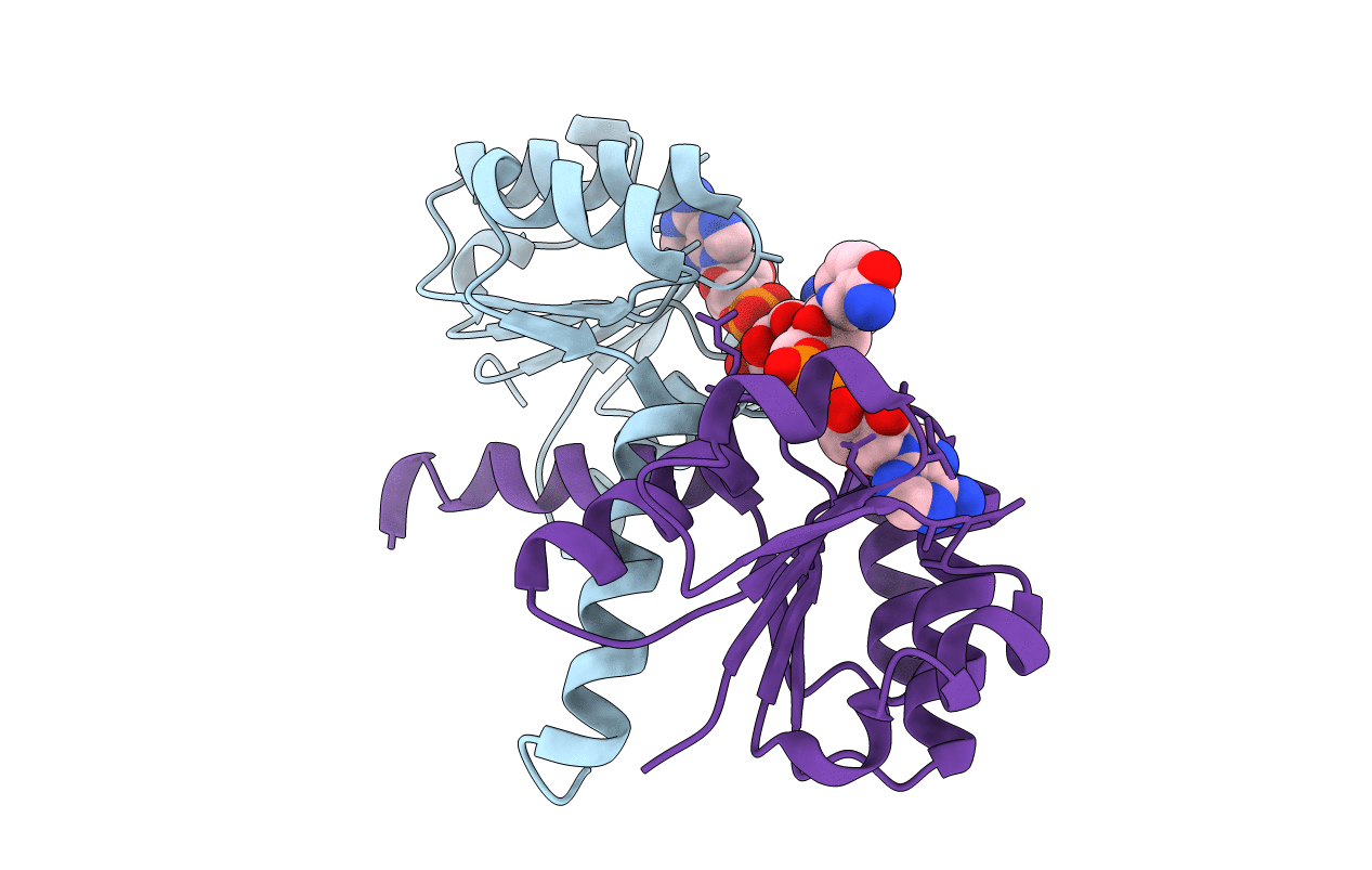 2HMT image