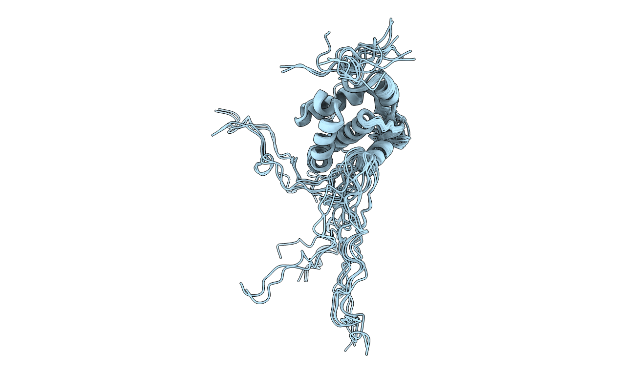 2HMX image