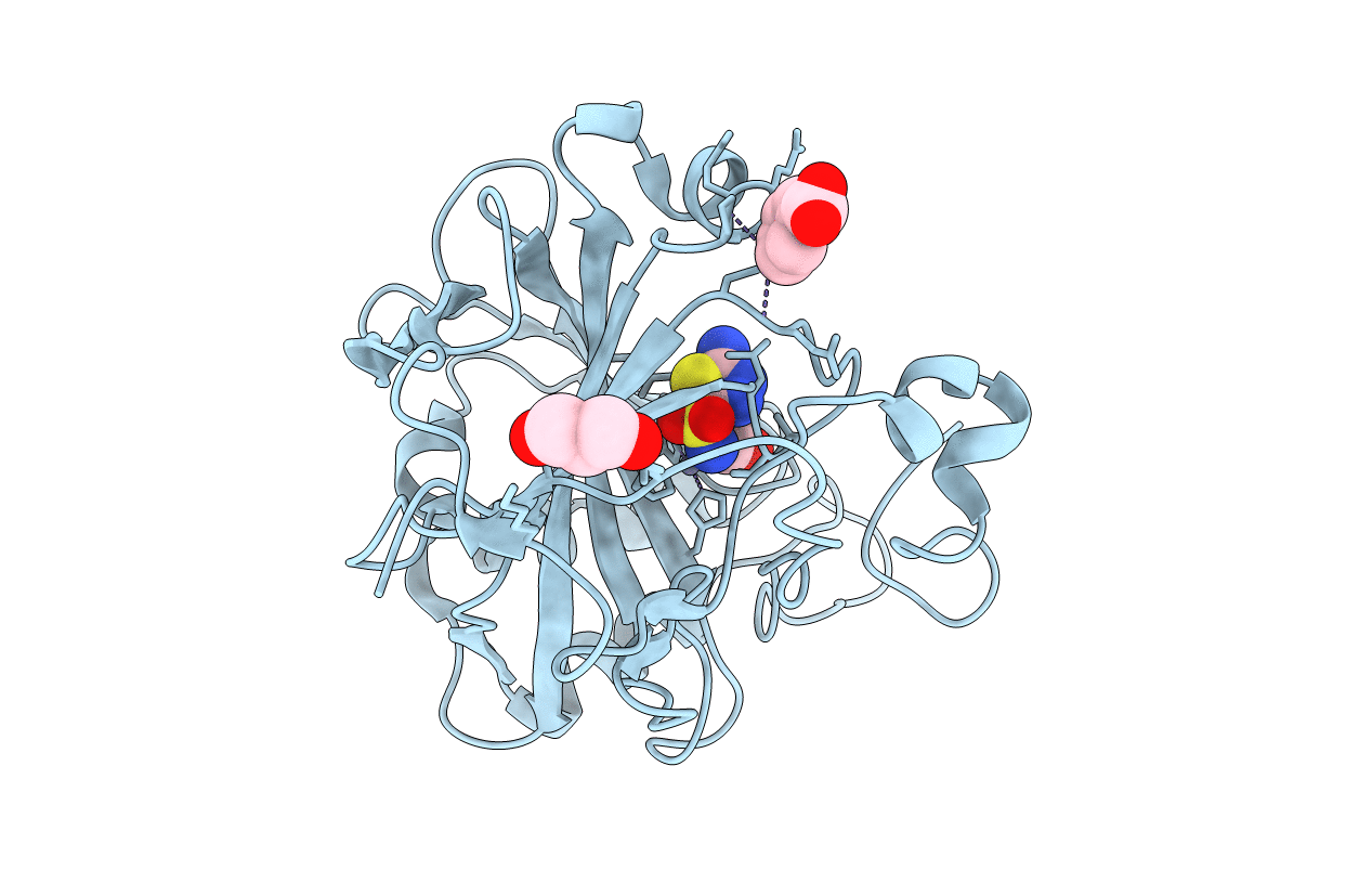 2HNC image