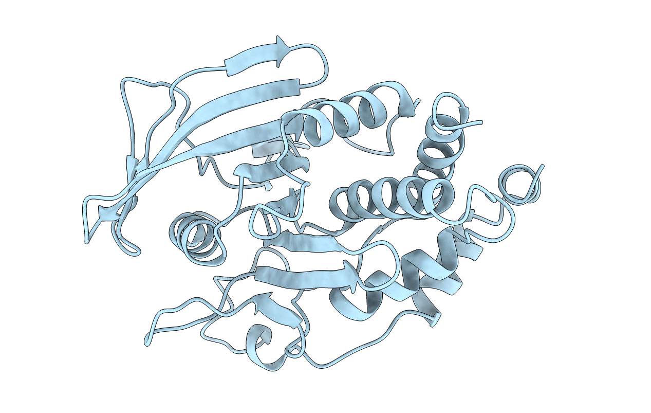 2HNP image