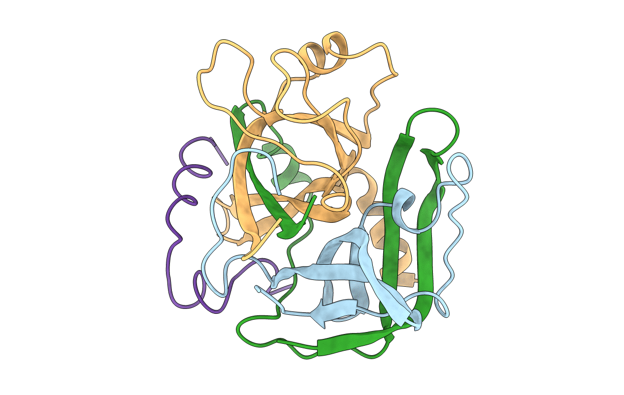 2HNT image