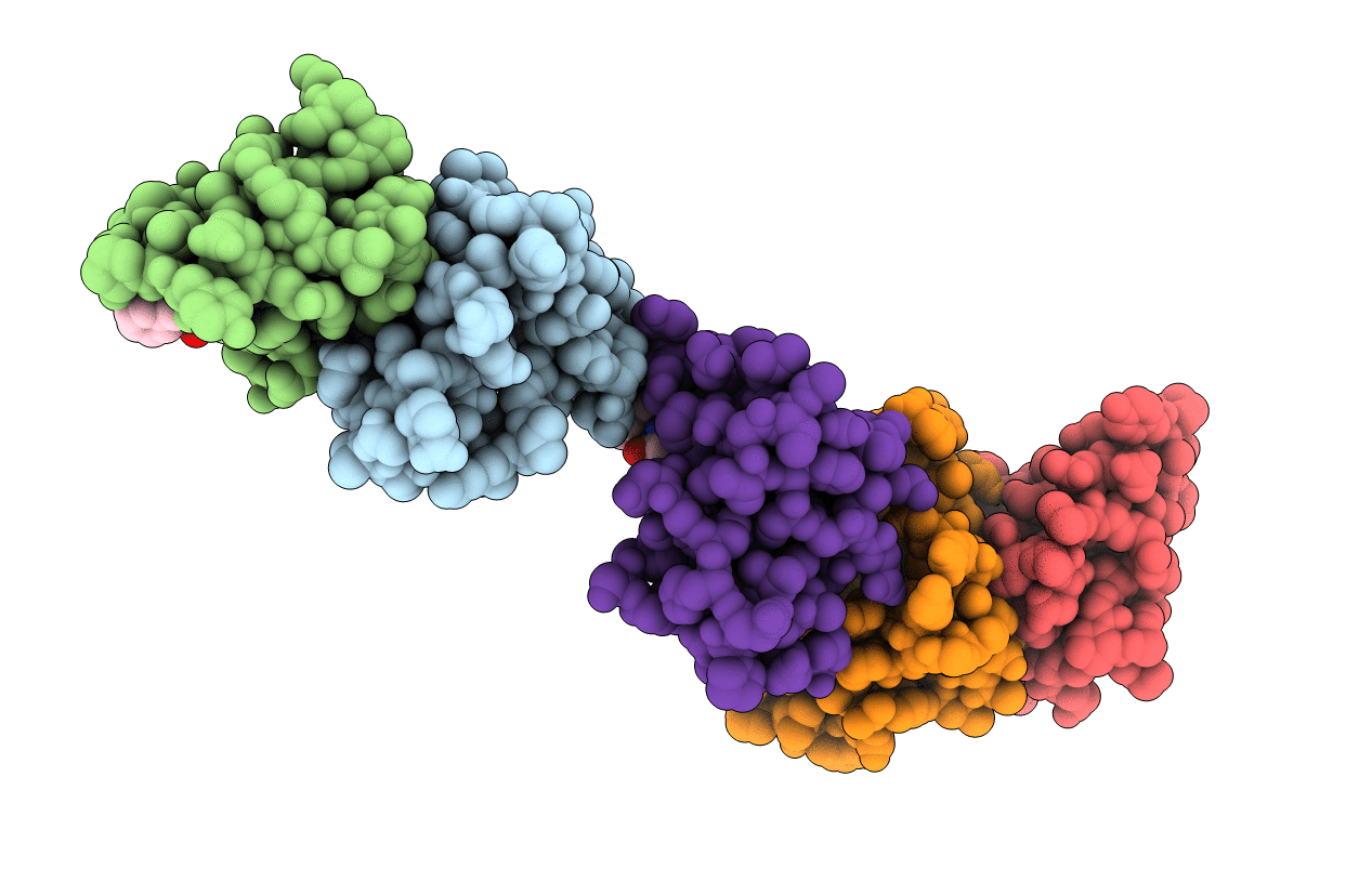2HNV image