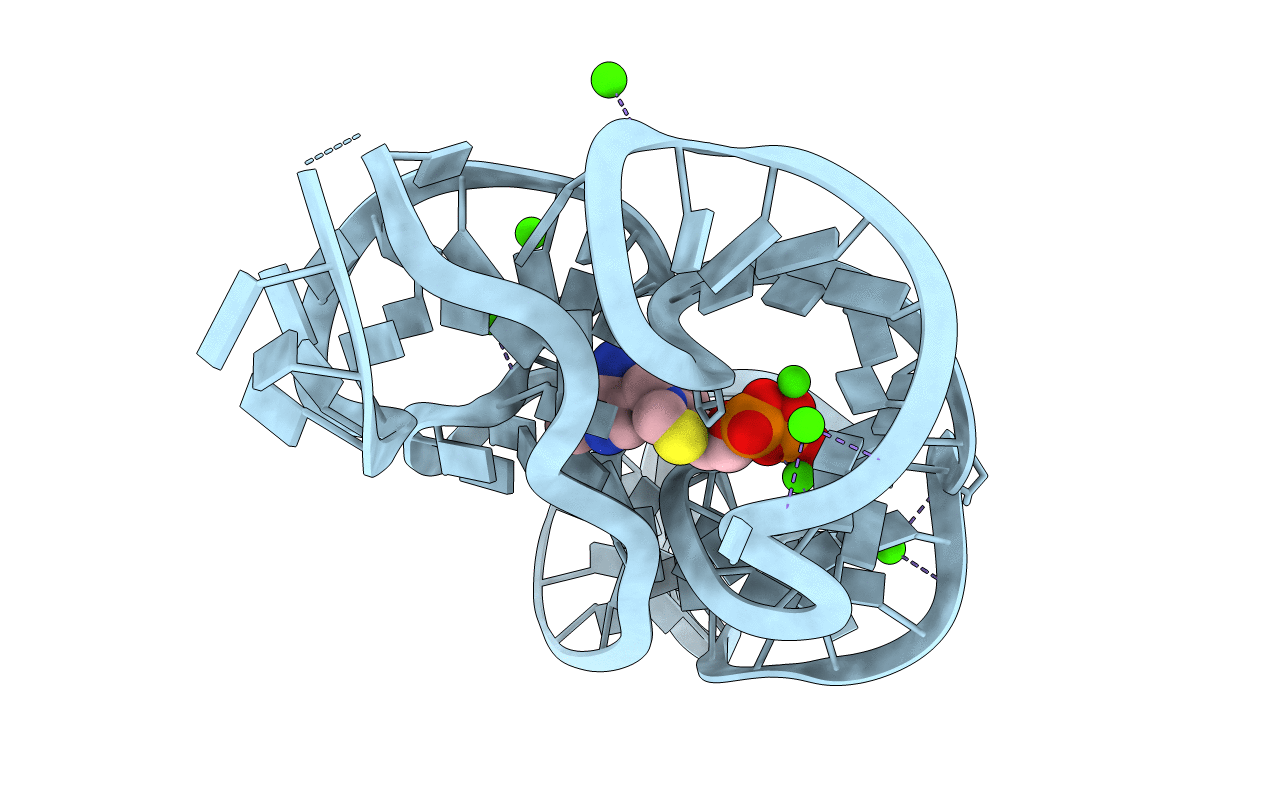 2HOK image