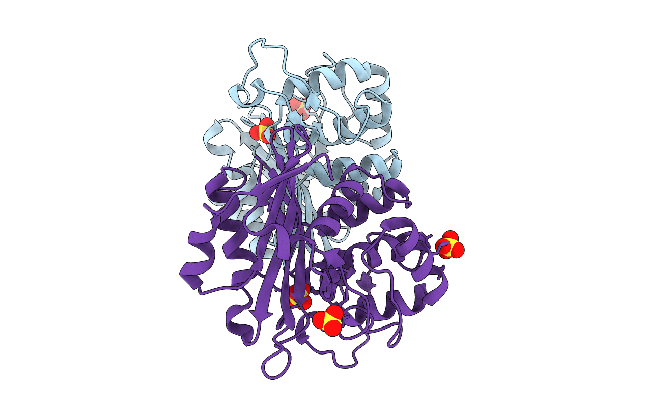 2HPB image