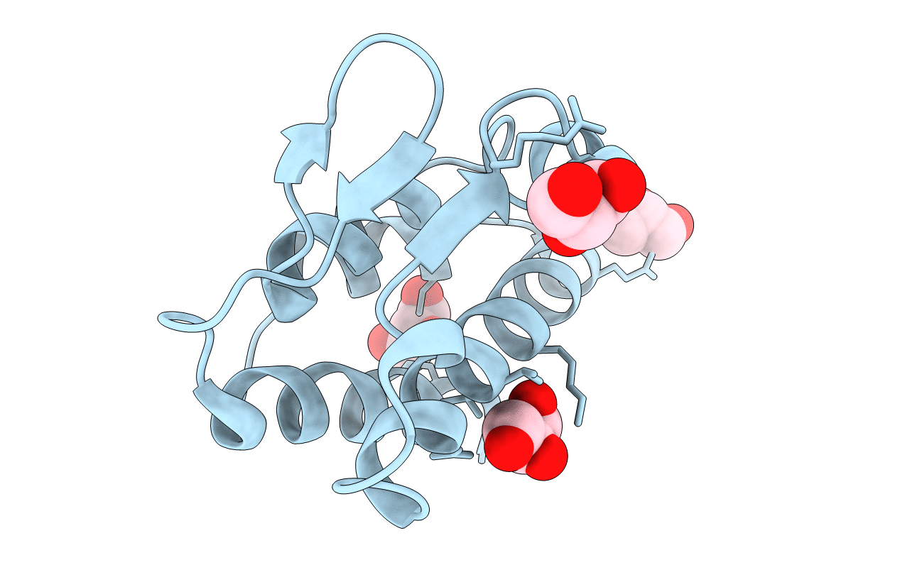 2HPJ image