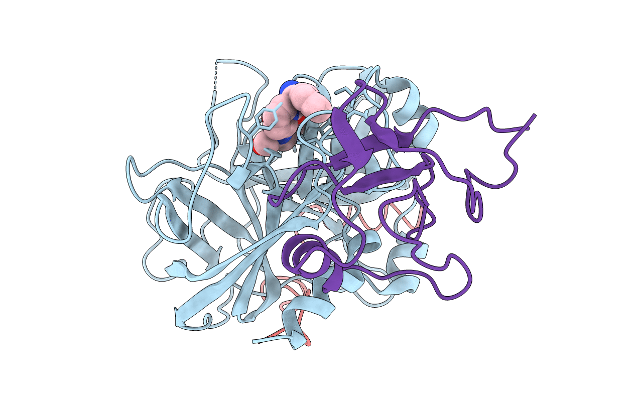 2HPP image
