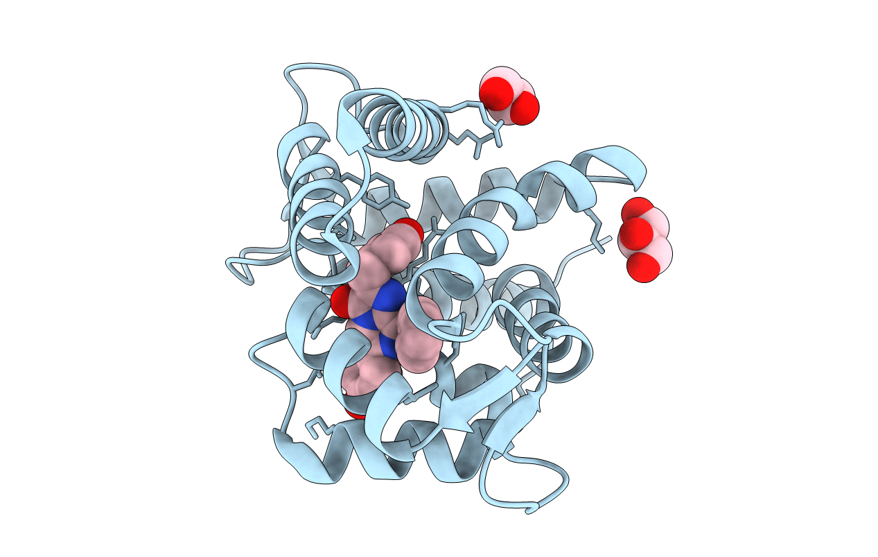 2HPS image