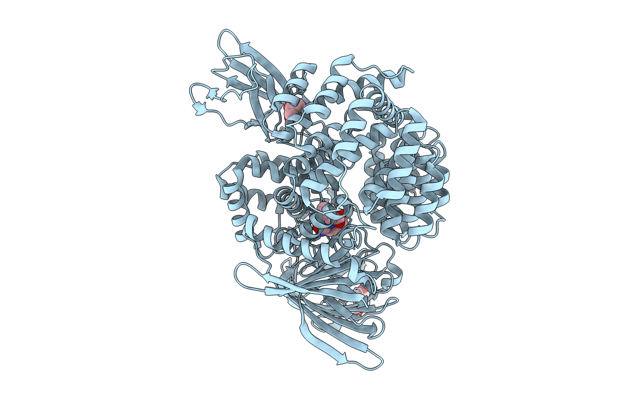 2HPT image