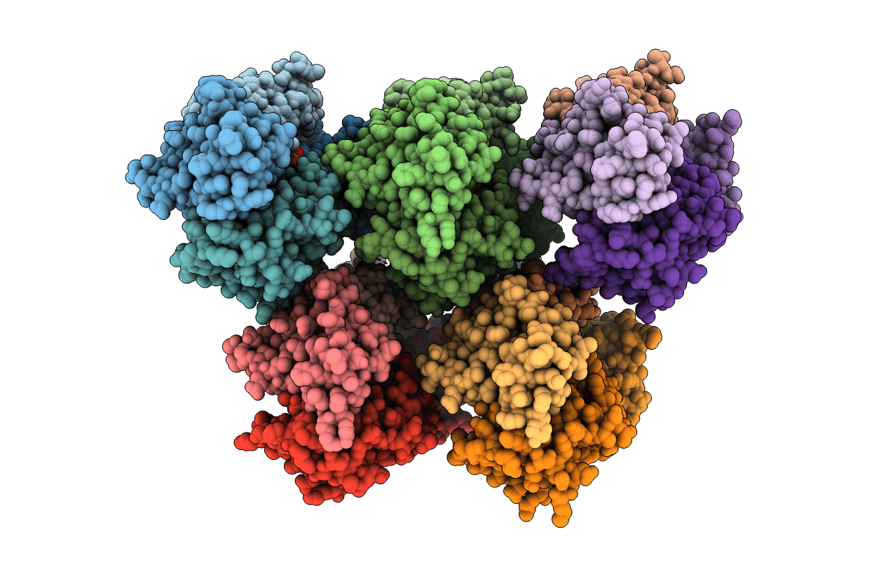 2HQT image