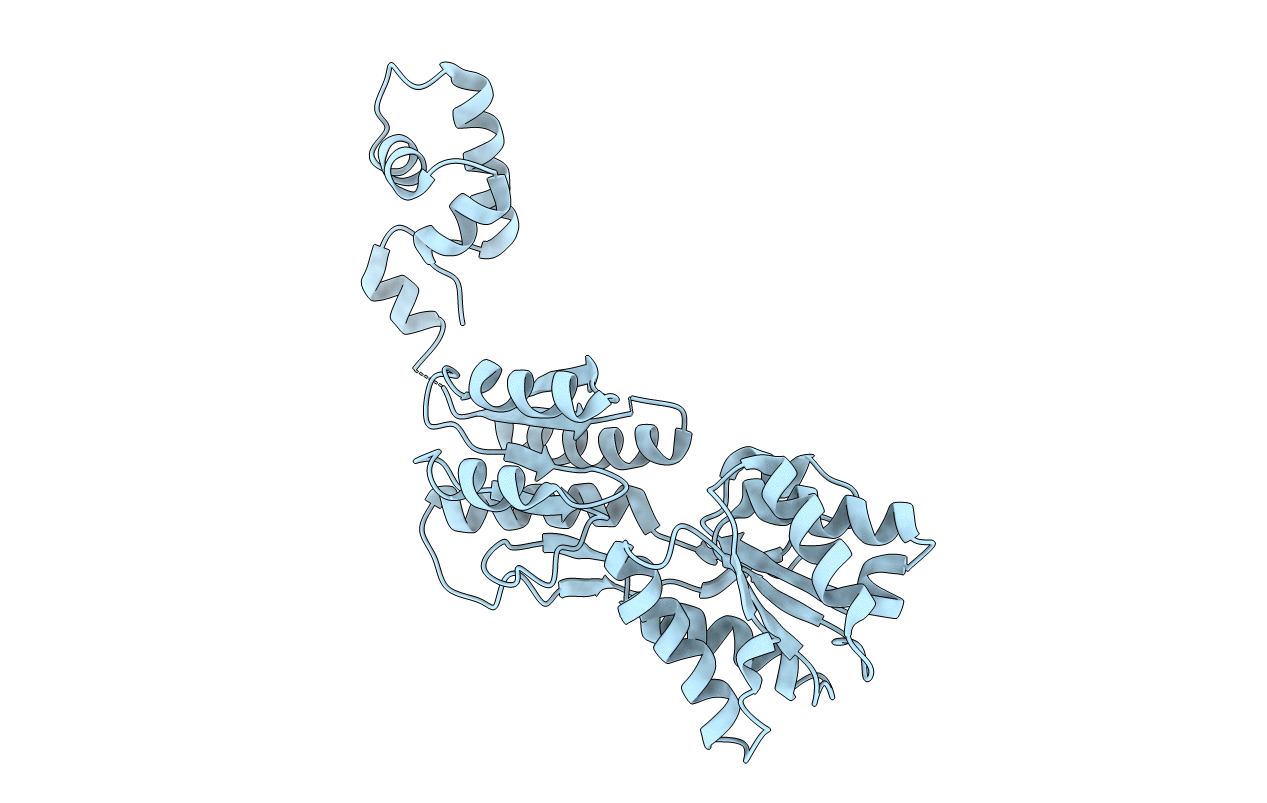 2HSG image