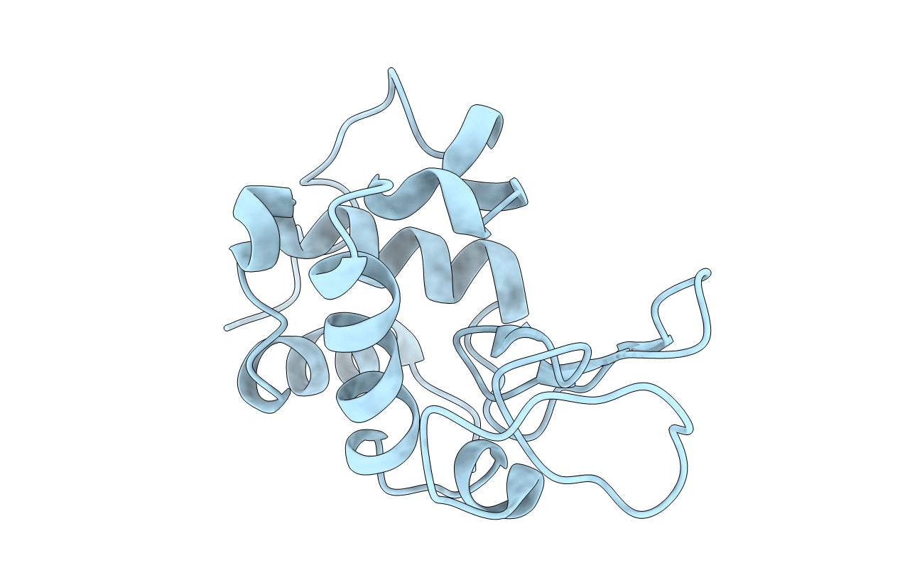 2HSO image