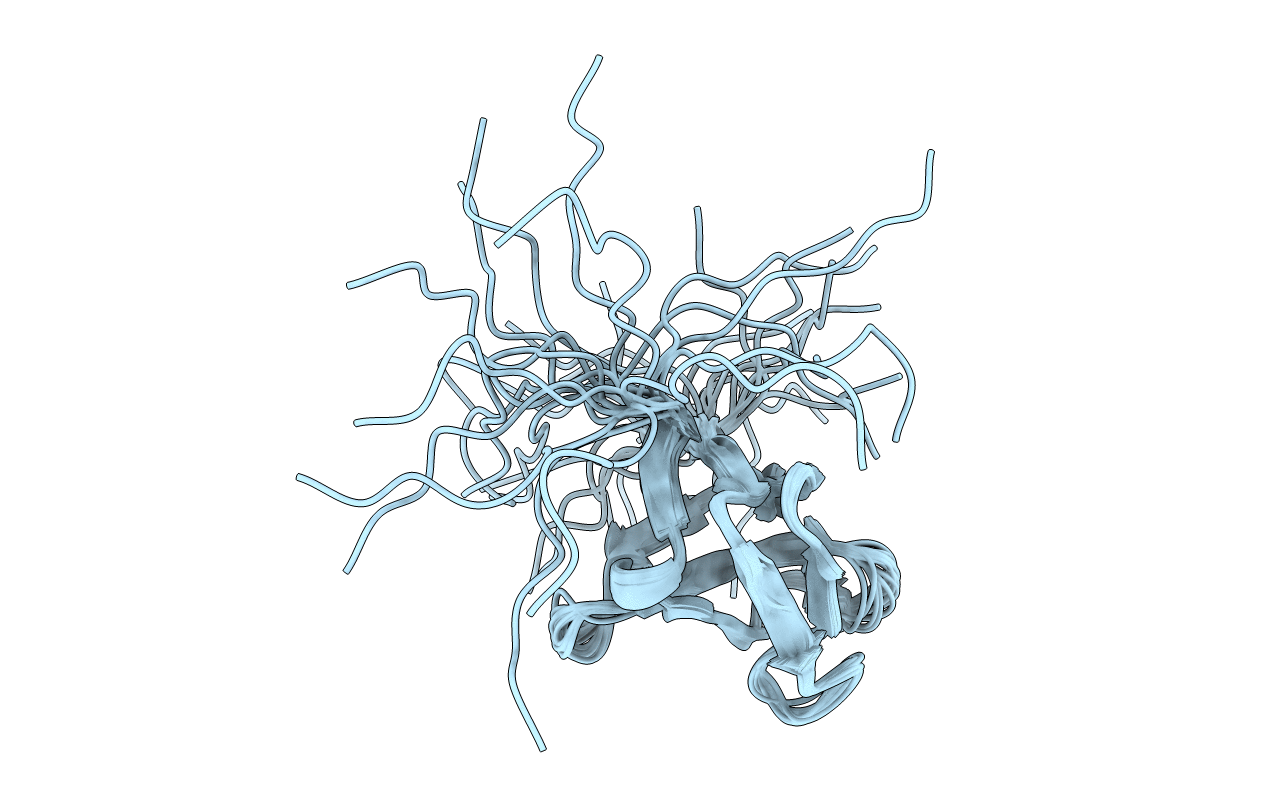 2HSP image