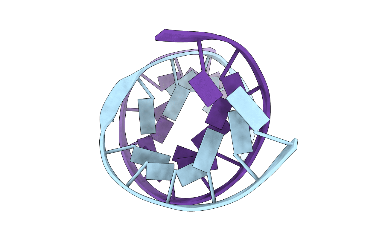 2HSS image