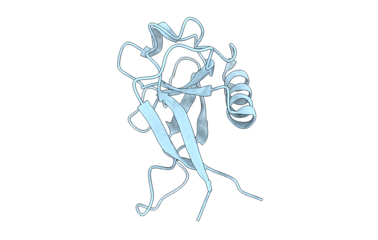 2HSX image
