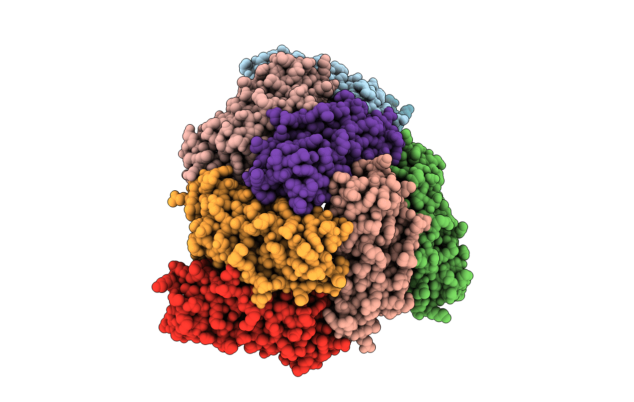 2HTN image