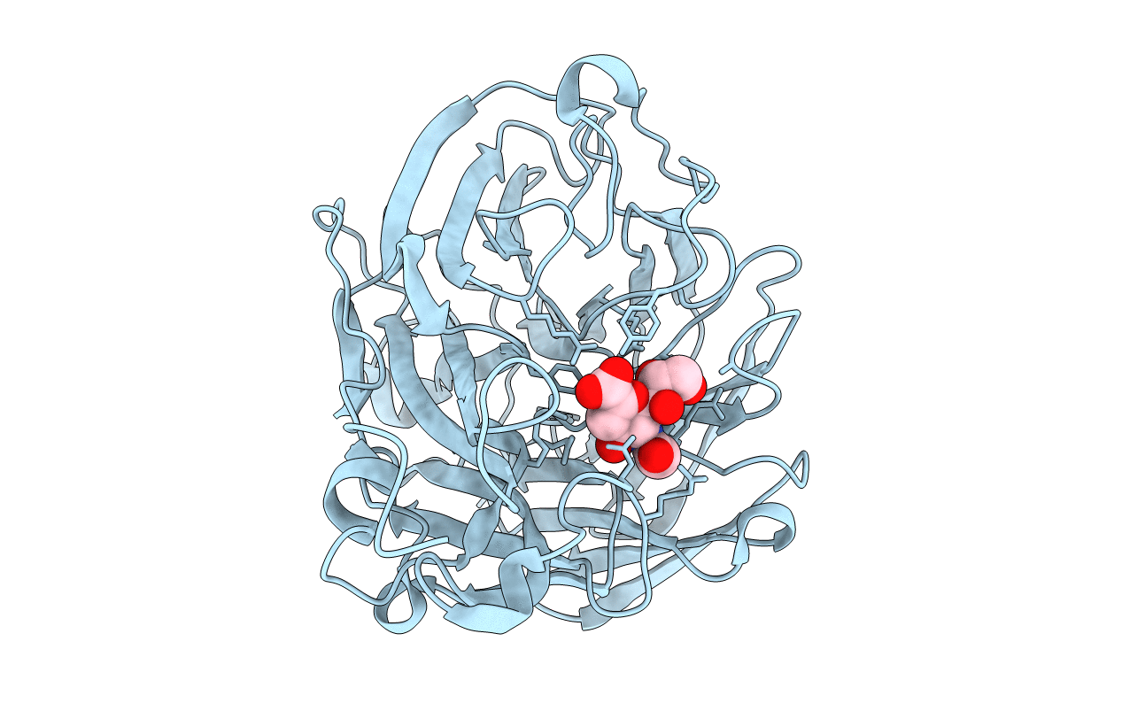 2HTR image