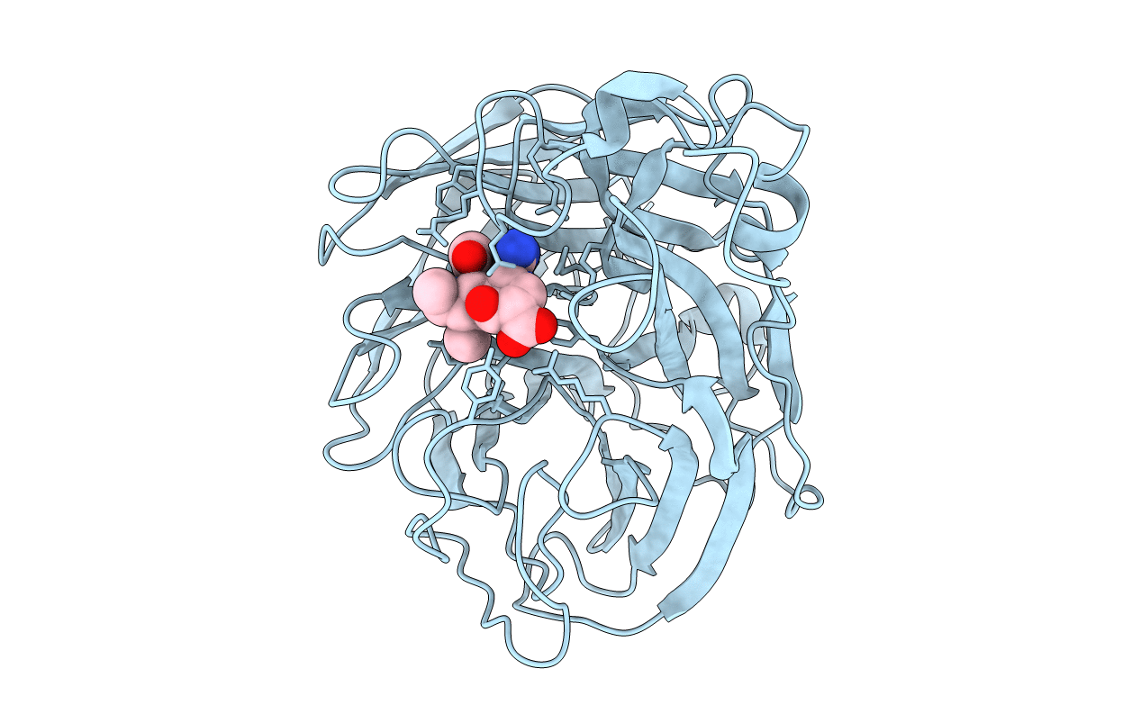 2HTU image