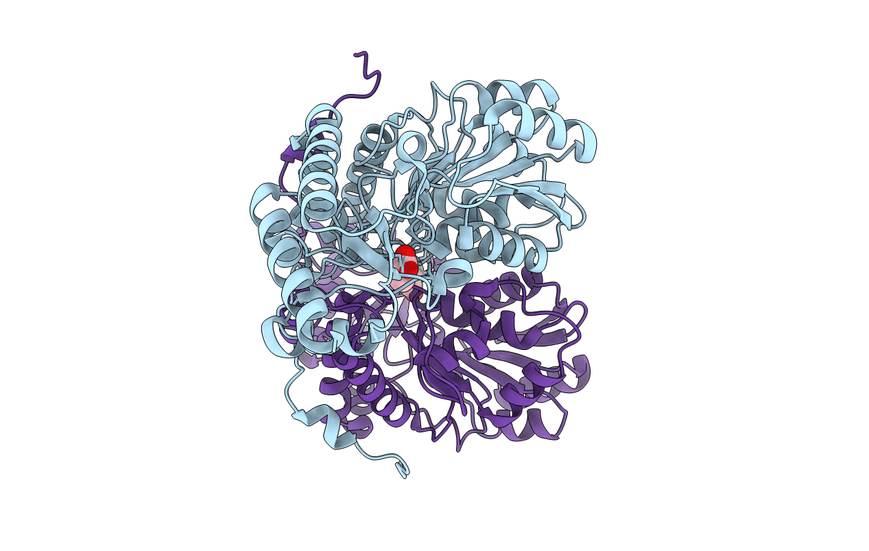 2HUU image