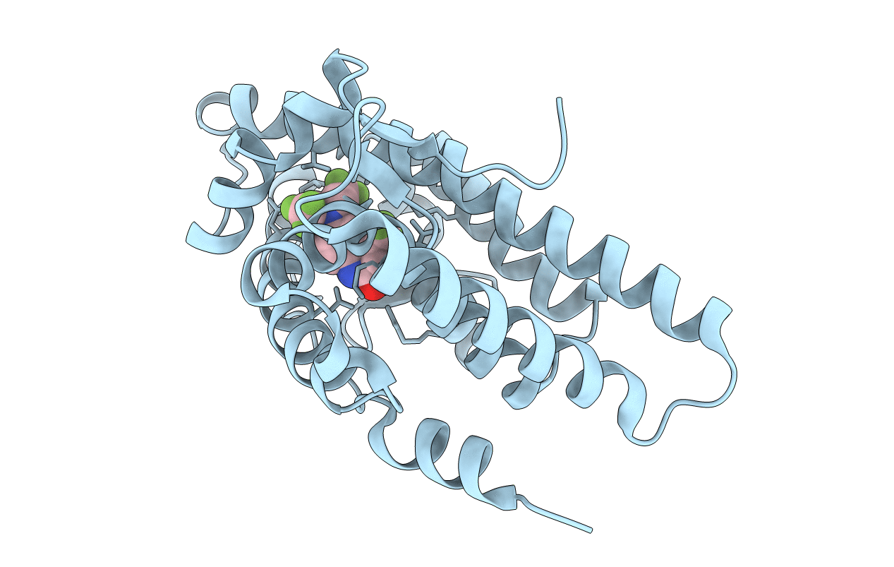 2HVC image