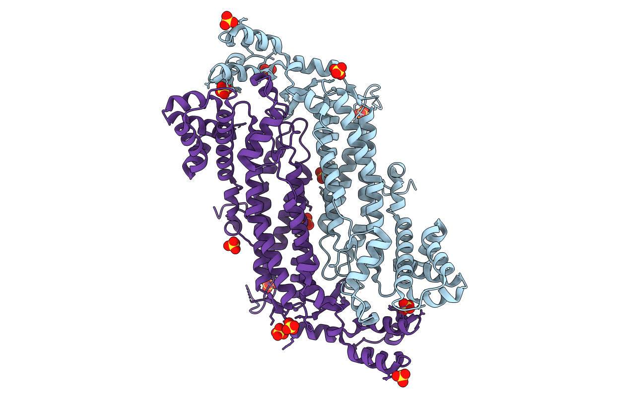 2HVG image