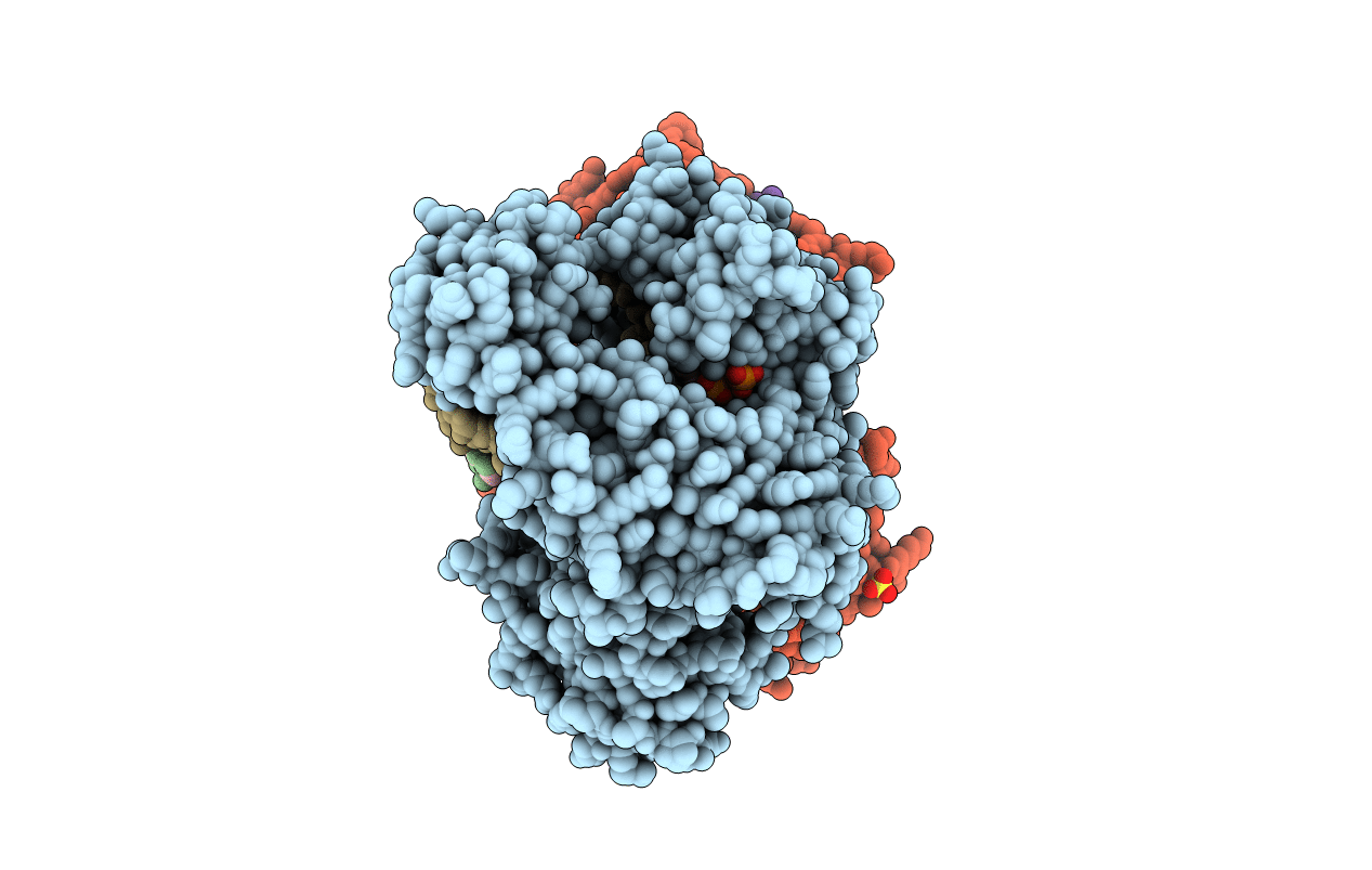 2HVI image