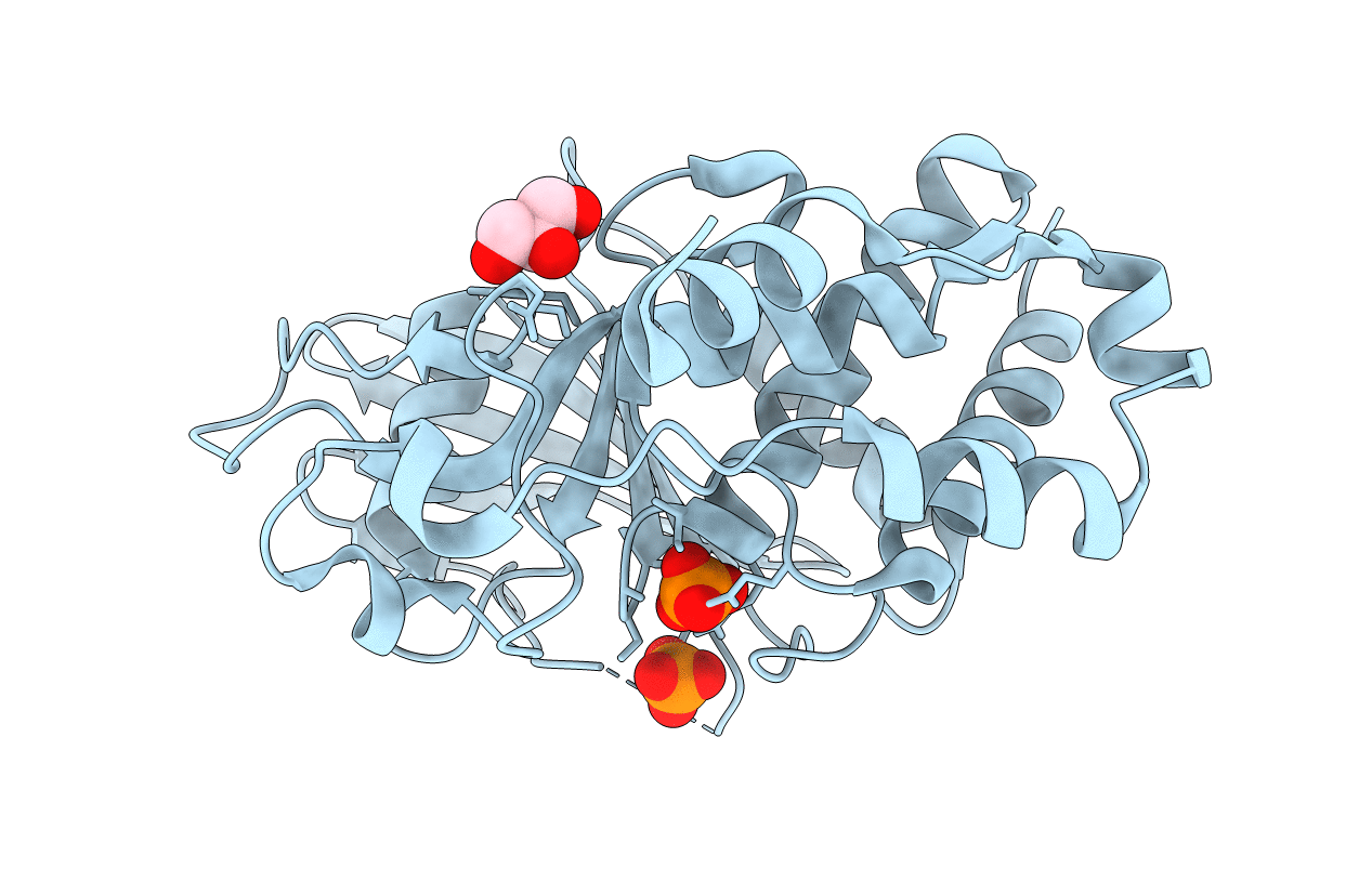 2HVL image