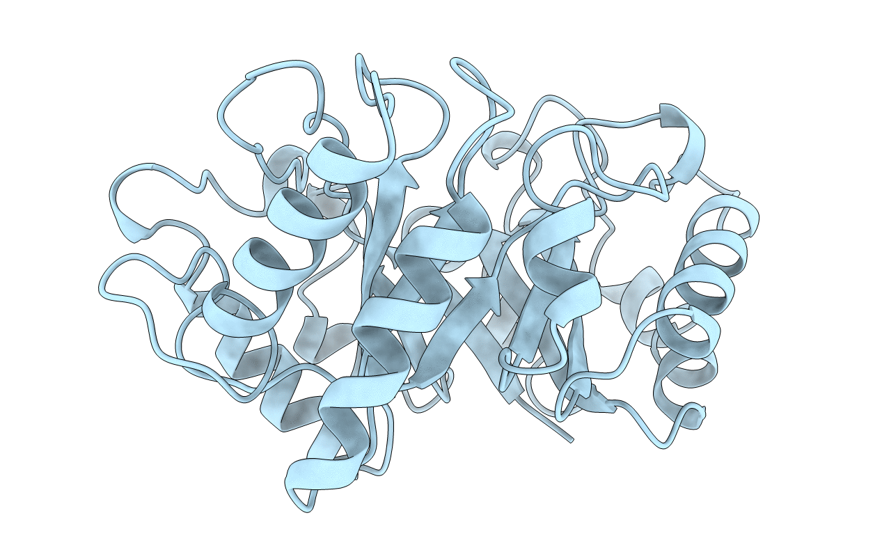 2HVM image