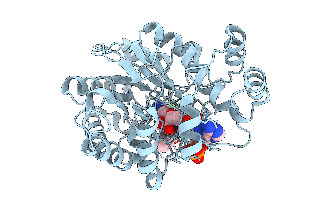 2HVN image