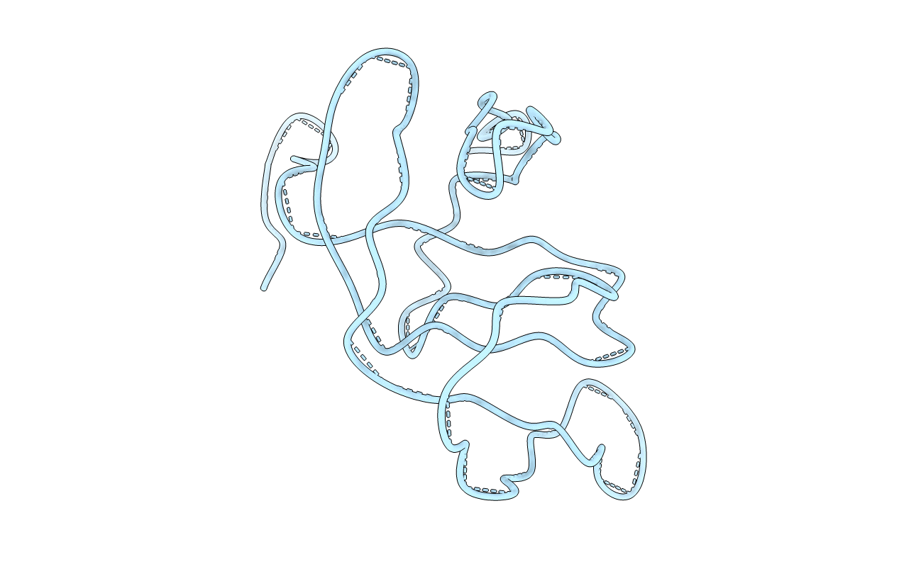 2HVP image