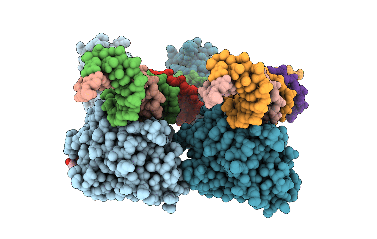 2HVS image
