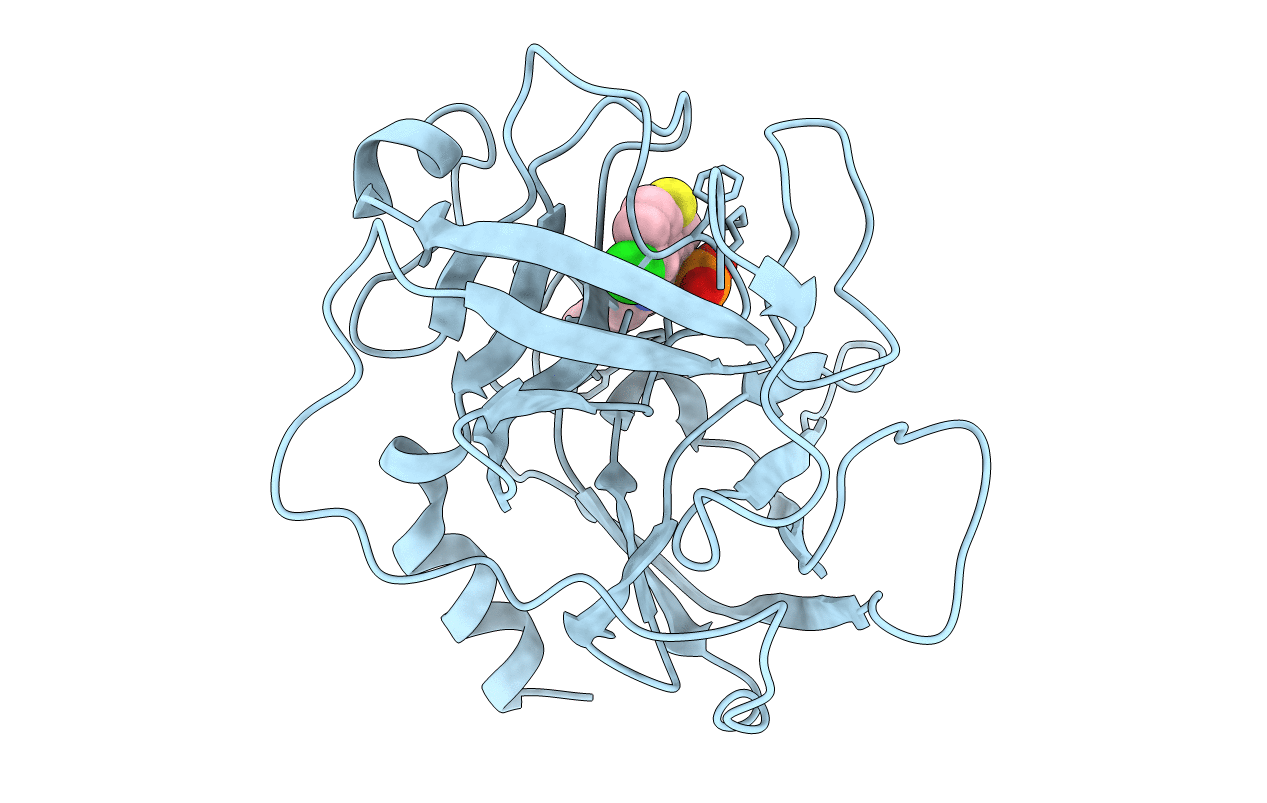 2HVX image