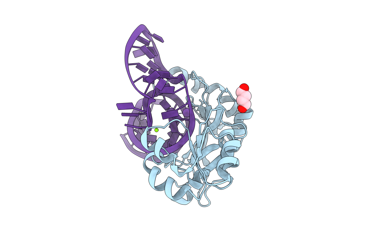 2HW8 image