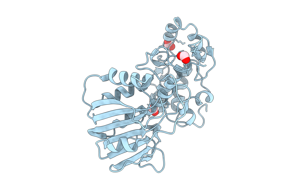 2HWK image