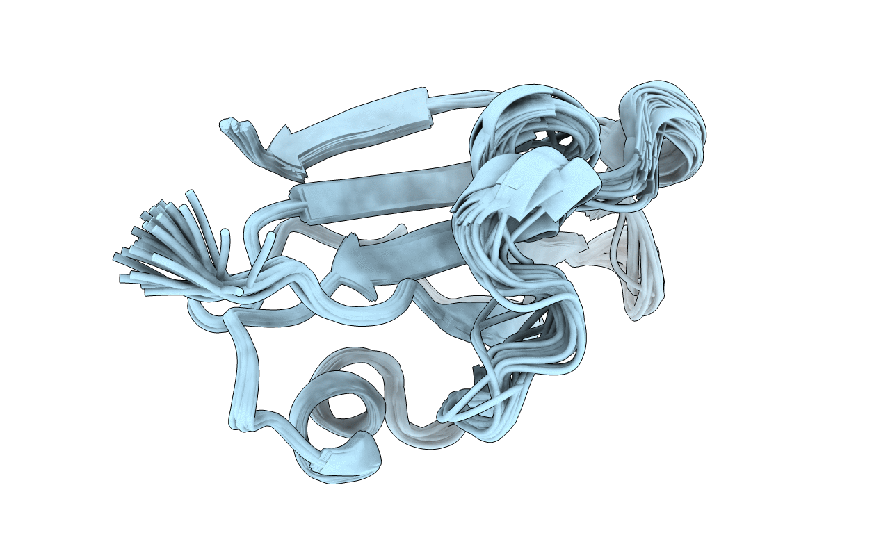 2HWT image