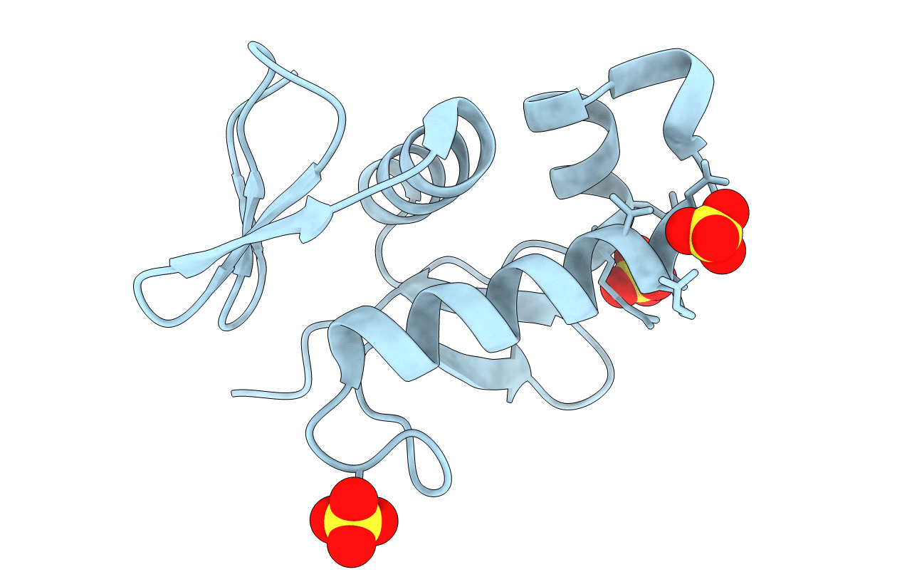 2HWV image