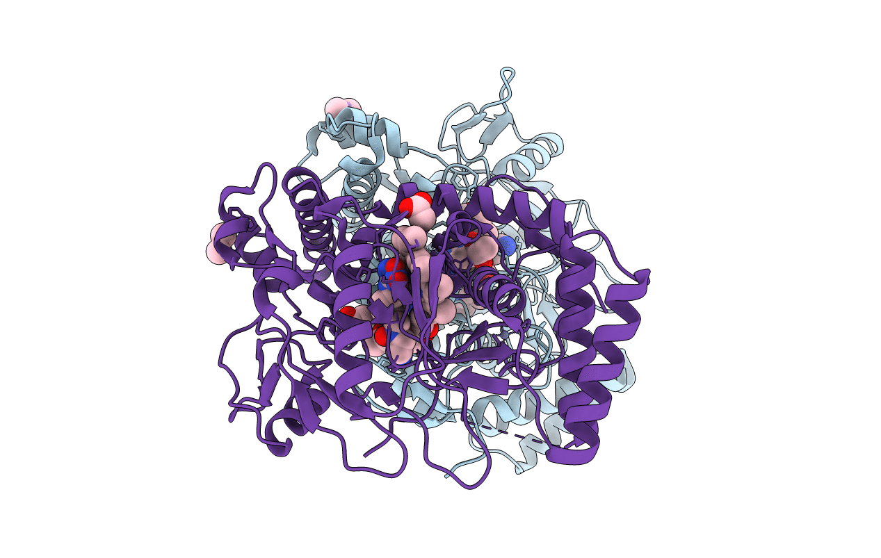 2HX2 image