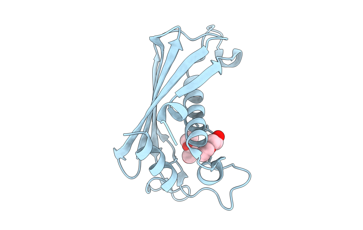 2HX5 image