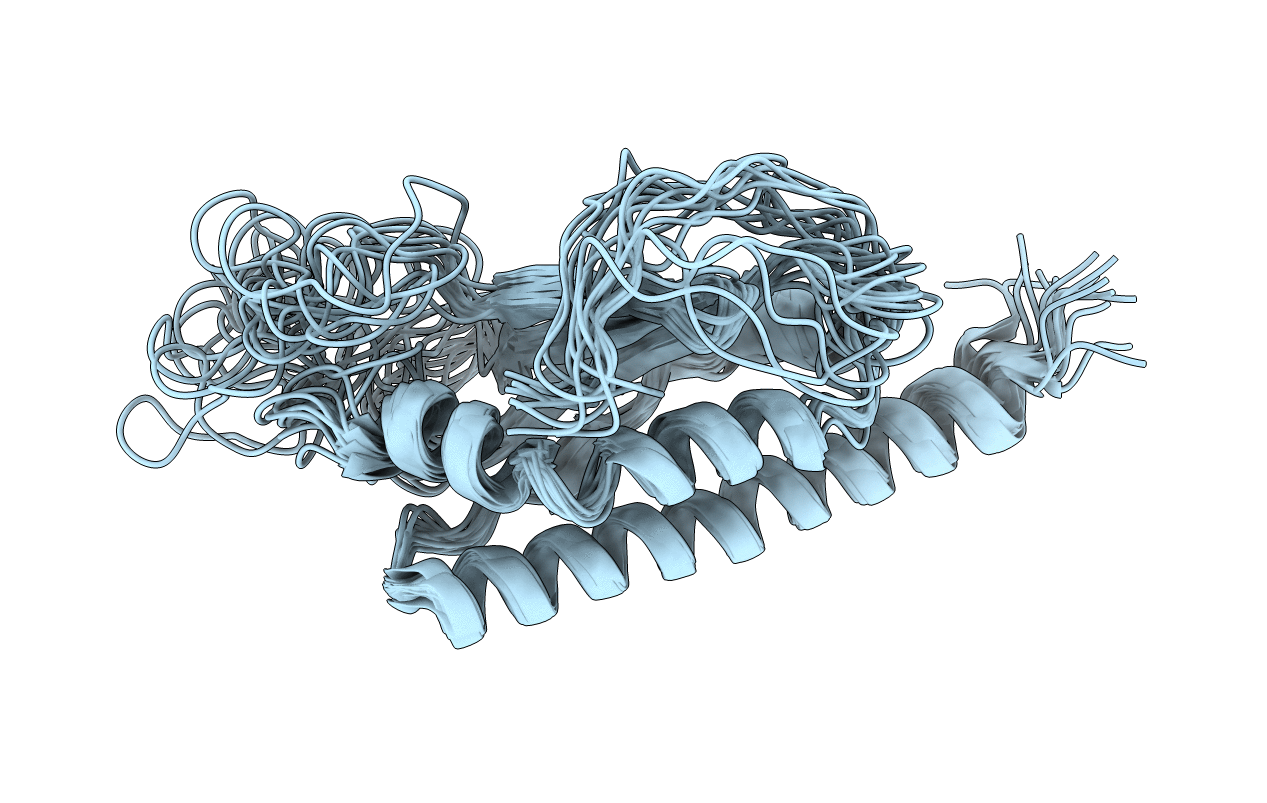2HX6 image