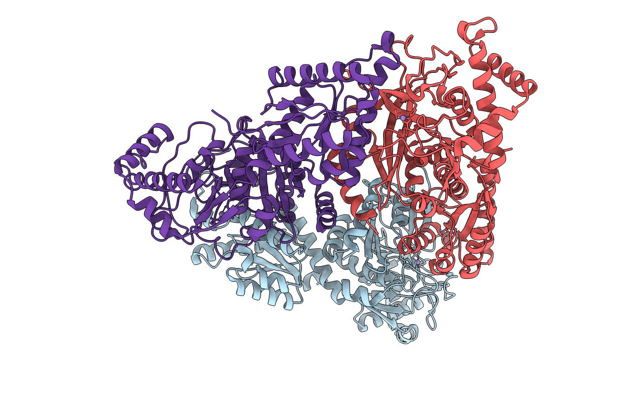 2HXG image