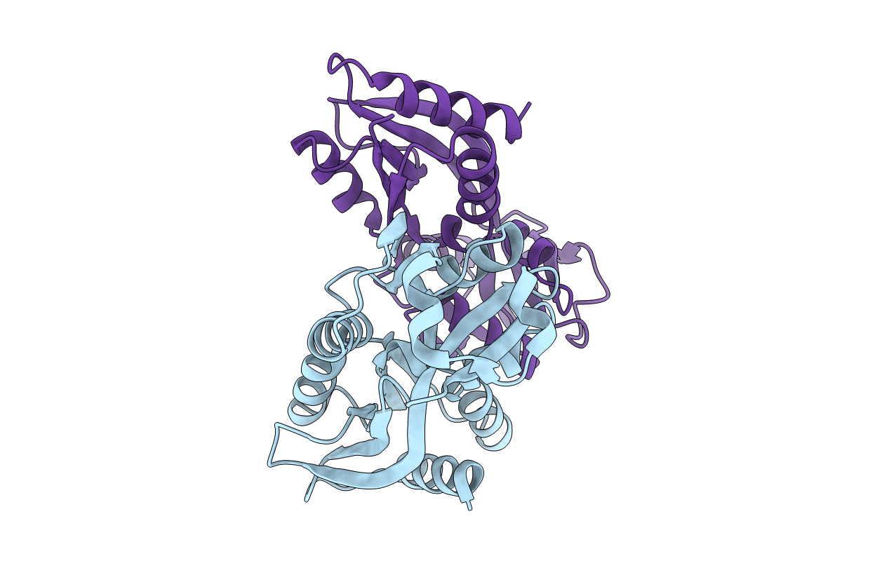 2HXR image