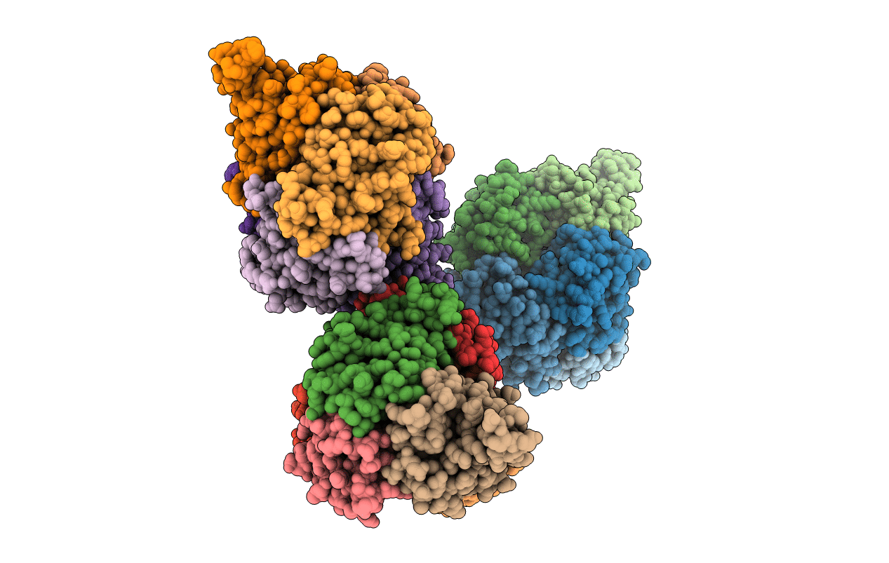 2HYB image