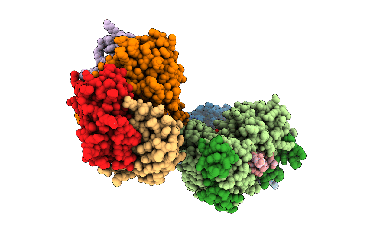 2HYI image