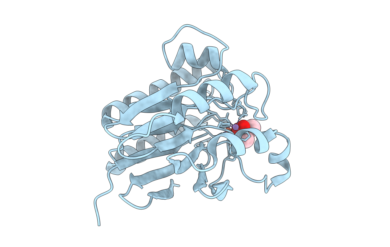 2HYP image